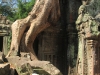 Angkor 3