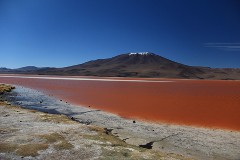 Laguna Colorada