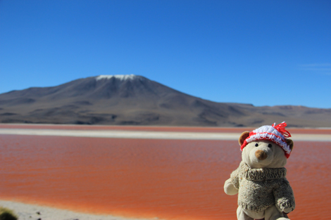 NESTOR DEVANT LA LAGUNA COLORADA