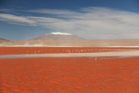 Laguna Colorada