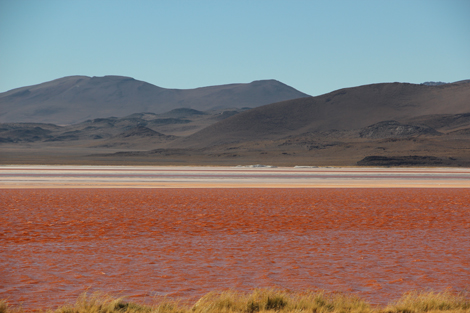 Laguna Colorada