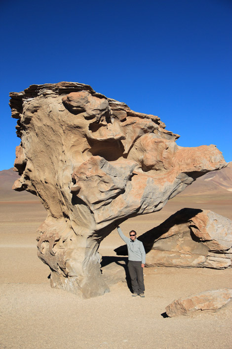 Arbol de piedra