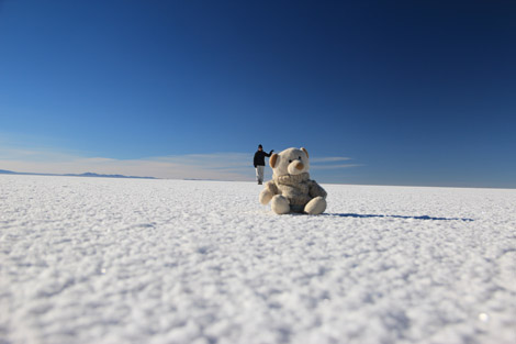 Uyuni nestor