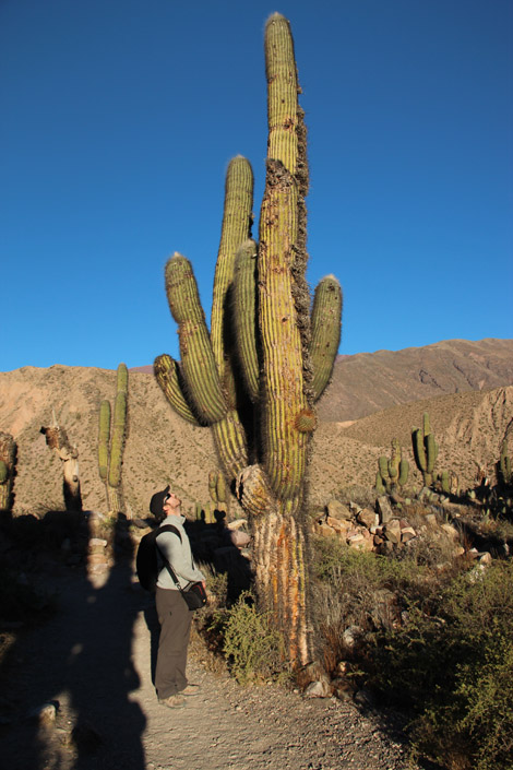 Tilcara Cactus Fabien