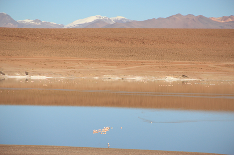 Laguna Sud Lipez