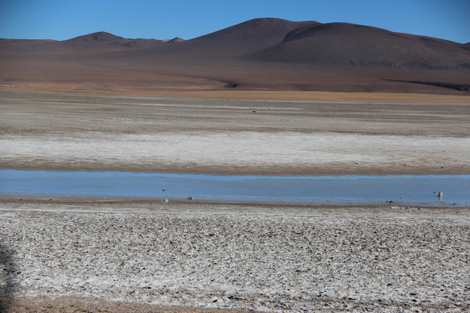 Laguna Verde