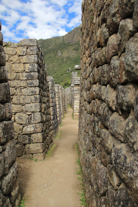 Un vrai labyrinthe