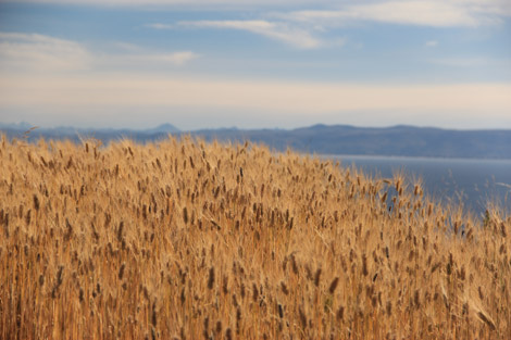 Lac Titicaca