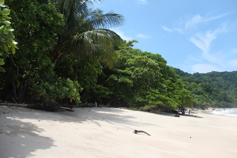 Plage Cabo Blanco