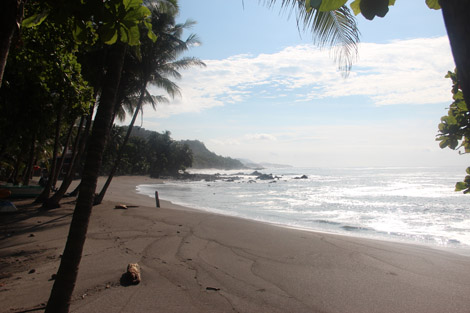 Plage Montezuma