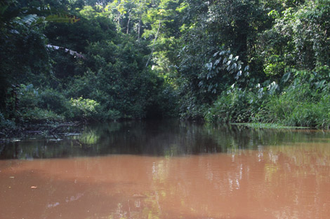 Canaux de Tortuguero