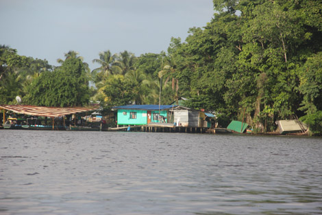 Tortuguero