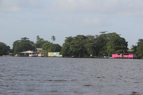 Tortuguero