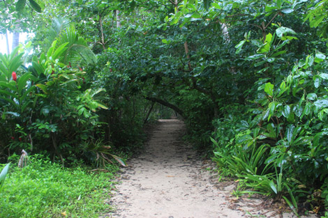 Le parc national de Cahuita