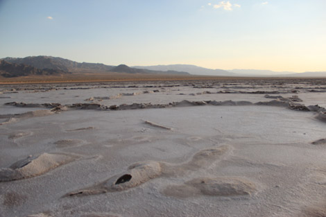 Salar 2