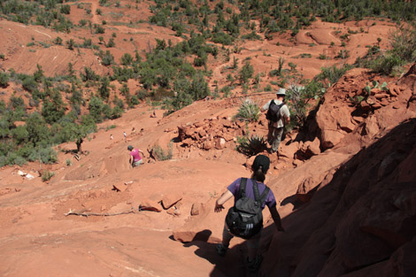 Cathedral Rock