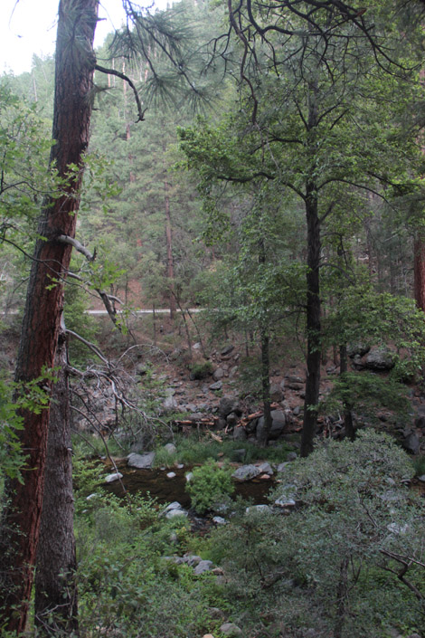 Oak Creek Canyon