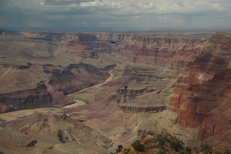 Une autre vue du Grand Ganyon depuis la tour