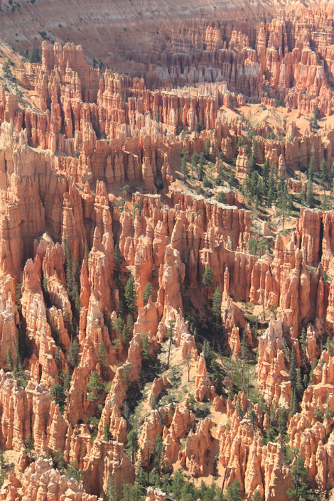 Bryce Point 2