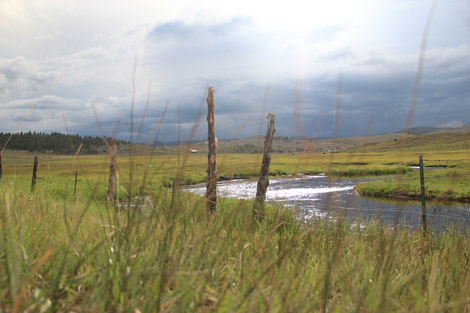 La campagne américaine