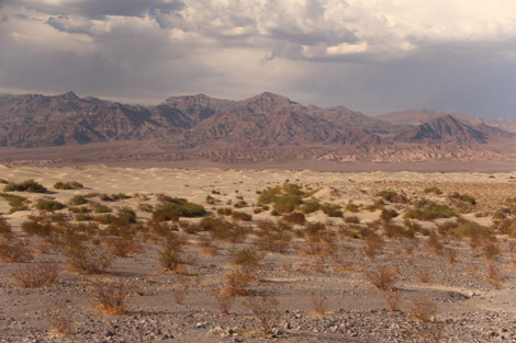 Dunes de loin…