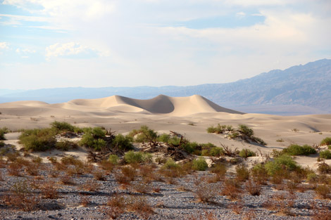 … Dunes de près!