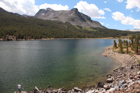 Yosemite Tolumne Meadows