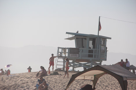 "Alerte à Venice Beach"?