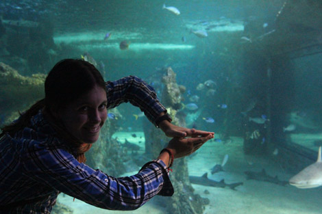 Aquarium de Sydney