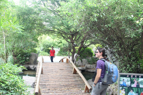 Pont de bois…