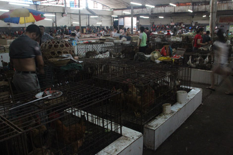 Marché de Yangshuo