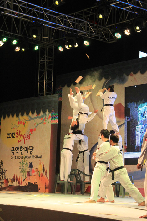 Tae Kwon Do 1