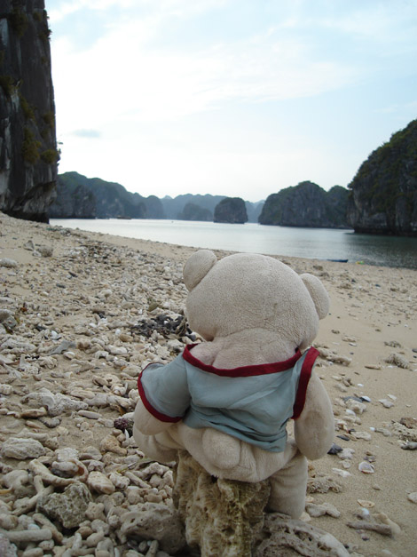 Nestor nous attend lui aussi patiemment, en regardant la mer