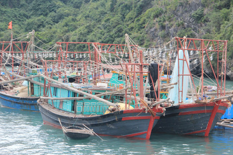 Les bateaux sont équipés d'énormes ampoules…