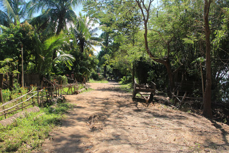 Chemin au bord du Mékong