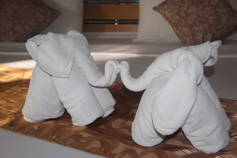 Deux éléphants dans le lit!