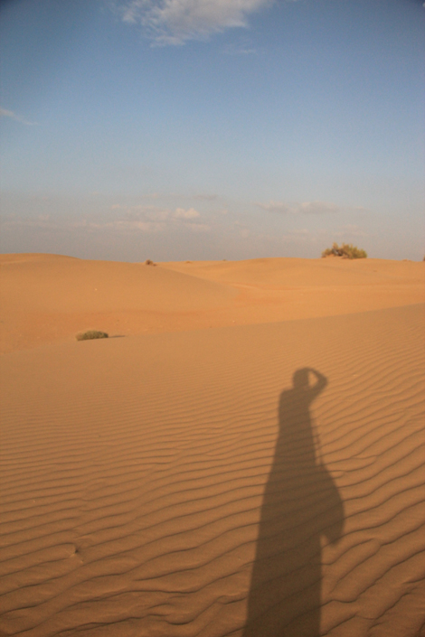 Le Royaume des sables