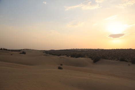 La nuit tombe sur le désert du Thar