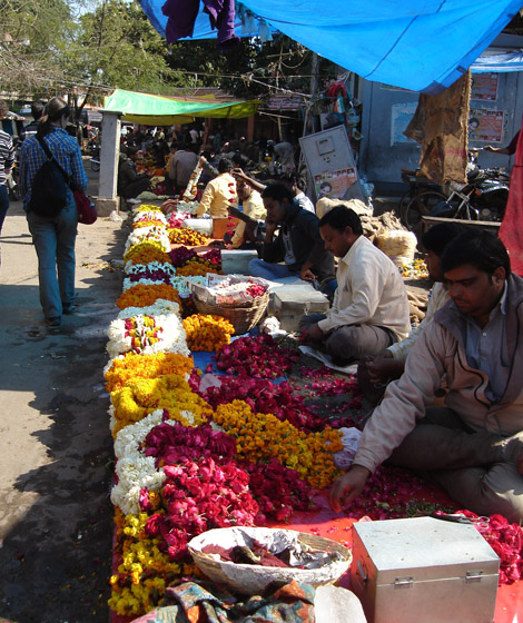 Fleurs pour les temples hindous