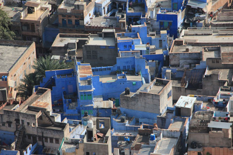 Bleu Jodhpur