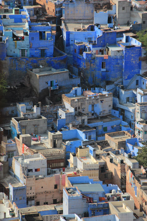 Bleu Jodhpur