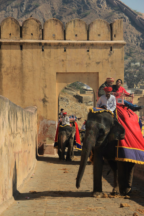 Montée en éléphant dans le fort d'Amber