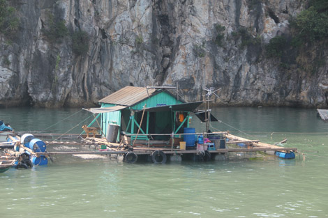 Baie de Cat Ba, village de pêcheur