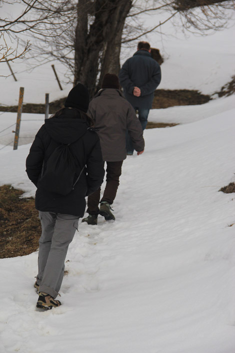 Ballade dans les montagnes de France