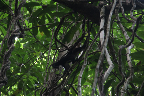 Cabo Blanco Costa Rica